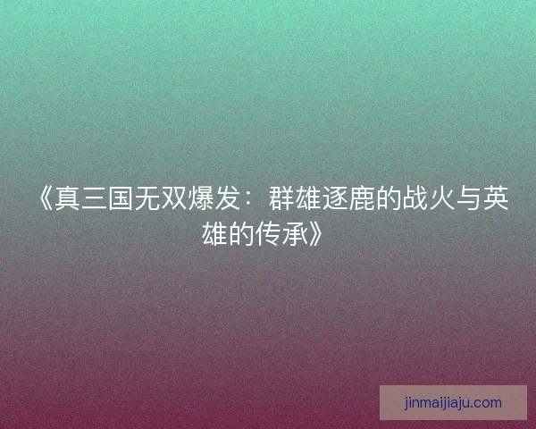 《真三国无双爆发：群雄逐鹿的战火与英雄的传承》