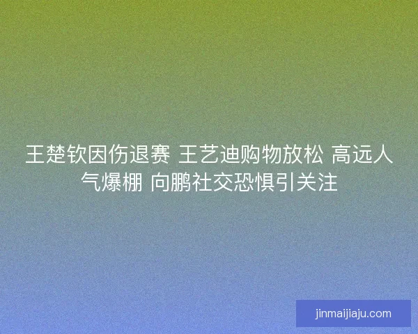 王楚钦因伤退赛 王艺迪购物放松 高远人气爆棚 向鹏社交恐惧引关注