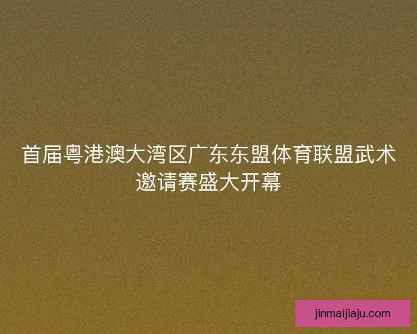 首届粤港澳大湾区广东东盟体育联盟武术邀请赛盛大开幕